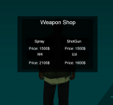 Weapons Shop!